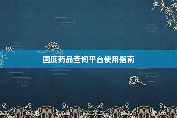国度药品查询平台使用指南